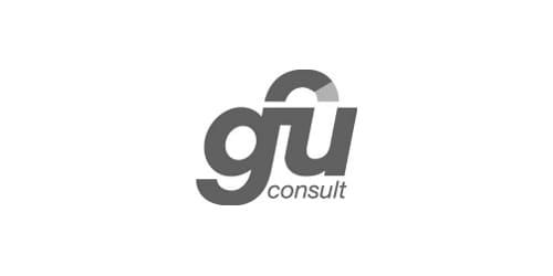 gfu consult (Logo)