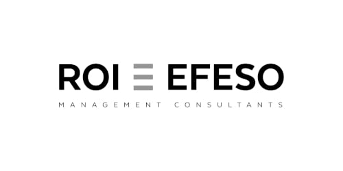 ROI = EFESO Management Consultants (Logo)