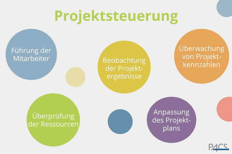 Operatives Projektcontrolling: Projektsteuerung